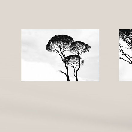 城市環境作品案例展示