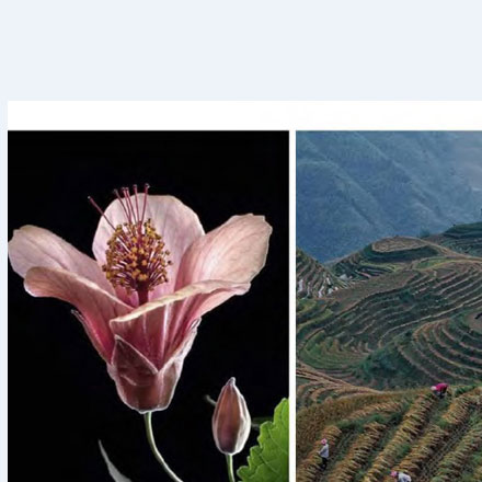 led廣告屏-標識led廣告屏多少錢?